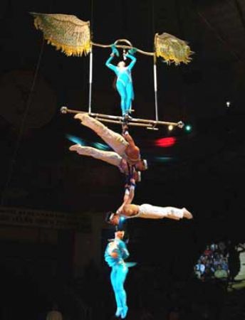 Gala xiếc 2012